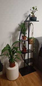 Tribesigns Blumenständer, 2 Stück Pflanzenregal mit 5 Ebenen und 2 Haken, 160cm Hoch Pflanzenständer Metall Blumenregal für Indoor Balkon(Mattschwarz) Kunden-Foto 11