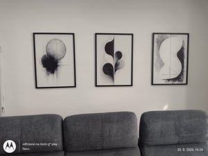 Wallity, elegantný dekoratívny nástenný obraz (3 diely), 50 x 70 cm | 100 % MDF (3 mm) s rámom zo 100 % masívneho dreva (2 cm) | Ideálny do moderných interiérov, štýlový a príťažlivý. Fotografia od zákazníka č. 1