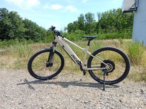 Prophete DICE 2.0 E-MTB 29" – Enovation Hinterradmotor 48V, 250W, 46Nm, Shimano Alivio 9-Gang Kettenschaltung, 130 km Reichweite Kunden-Foto 1