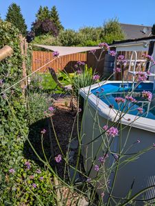 GRE Runder weißer Stahlwandpool Ø 240 x 120 cm KIT240ECO Kunden-Foto 1
