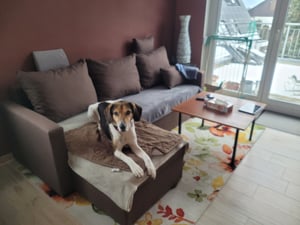 Masseno Ecksofa NIDA mit Schlaffunktion L-Form, Sofa mit Bettkasten, Wohnzimmersofa, Couch, Soffa, Bettsofa, Couchgarnitur- Braun, INARI 24 Kunden-Foto 2