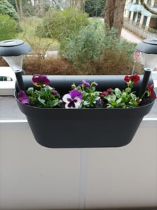 4er Set Geländerkasten Balkon mit Wasserspeicher Blumentopf Zaun Blumenkasten Geländer Balkontopf Balkonkasten mit Halterung Balkon Pflanzkasten Anthrazit Kunden-Foto 11
