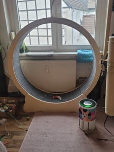 VEVOR Koleso pre mačky 1320x340x1415mm Koleso pre mačky vyrobené z brezovej a topoľovej preglejky Koleso pre mačky Nízka hlučnosť Odnímateľná vnútorná podložka Koleso pre mačky Vhodné pre mačky s hmotnosťou od 8 kg do 14 kg Fotografia od zákazníka č. 3