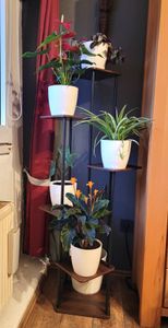 CMYbabee Pflanzenständer, 7 Etagen Hölzern Blumenregal Pflanzenregal, Mehrstöckig Blumenständer Pflanzenständer Blumenbank Blumentreppe Pflanzentreppe Standregal Kunden-Foto 6