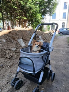 Pawhut PawHut wózek dla psa z uchwytem na kubek D00-127 Zdjęcie produktu od klienta nr 7