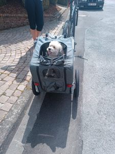 DOGGYHUT® MEDIUM Hundefahrradanhänger Hundeanhänger Fahrradanhänger Kunden-Foto 4