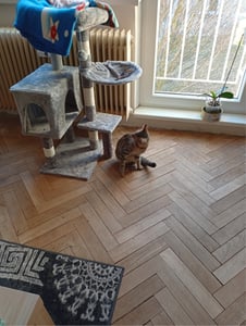 Aga Kratzbaum für Katzen DS341 Kunden-Foto 1