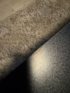 Lavice Bílý Konferenční Stolek Moderní S Policí Obývací Pokoj Loft Velký 100 Cm Fotografie od zákazníka č. 1