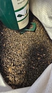 GardenGuru Schwarze Sonnenblumenkerne Wildvogel 10 kg Vogelfutter Winter Winterfutter Kunden-Foto 1