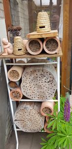 BEESI 500x Bambusgras für Insektenhotel I 14 cm Länge I 3-7mm ⌀ I Füllmaterial Bienenhotel, Wildbienen Nistmaterial Kunden-Foto 1