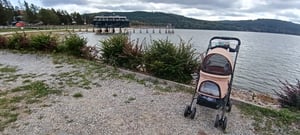 Kočík pre psov D00-127RD, buggy, skladací, pre malé psy a mačky, červený/čierny Fotografia od zákazníka č. 6