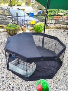 SucceBuy Parc pour chiens avec 8 panneaux, hauteur 61 cm, parc pliable en métal avec coussin de sol et piquets de terre, clôture pour cage à chiots pour l'intérieur et l'extérieur, niche pour animaux domestiques de petite et moyenne taille, parfait pour le camping, la ferme Photo du client 1