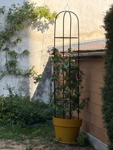 Gardebruk Obelisco per Rose Piante Rampicanti 200 x 40cm in Metallo Resistente Traliccio per Rose Pergolato per Eventi Foto del cliente 1