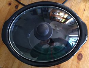 Bestron Dampfgarer, Mit Keramikpfanne und Glasdeckel, 1,5 Liter, 120 Watt, Edelstahl Kunden-Foto 1