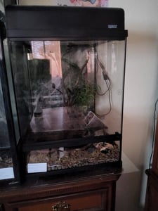 Terrarium Exo Terra EX - Pro Terrarium™ Medium Tall 60 x 45 x 60 cm ohne Dekoration, Bodengrund und Technik Kunden-Foto 1