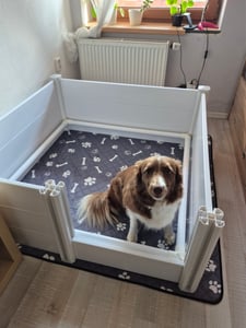 VEVOR Cassa da trasporto per cani, 1520x1520x610 mm, box per cuccioli in PVC plastificato con porta regolabile in altezza e tappetino lavabile, cassa per cuccioli di taglia extra large, bianco latte Foto del cliente 2