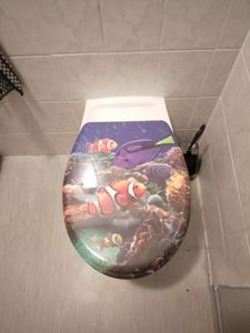 TWOLIIN WC-Sitz mit Absenkautomatik Toilettensitz Premium Toilettendeckel Antibakteriell Klodeckel Klobrille aus Duroplast,Schwarz Kunden-Foto 1