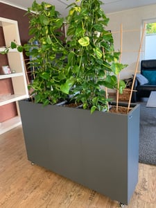 Zelsius Hochbeet verzinkter Stahl mit Rollen 120 x 30 x 80 cm, Anthrazit RAL 7016 Eiche Holzoptik, Pflanzkübel Kunden-Foto 1