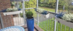 Palla di bosso Ø 35 cm - pianta artificiale sempreverde Buxus sempervirens per giardino e decorazione Foto del cliente 2