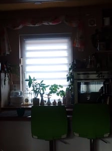 Estika dvojitá roleta Klemmfix – 105 cm x 150 cm – Béžová – Duo roleta bez vrtání Fotografie od zákazníka č. 3