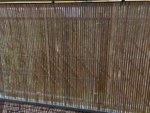 Sol Royal Clair Brillant Premium Bambou Brise-vue 150 haut SolVision B99 Photo du client 1