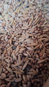 Vogelfood 10 kg Streufutter für Vögel Wildvogelfutter Ganzjahresvogelfutter Sommerfutter Kunden-Foto 1