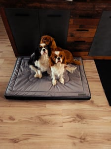 Lit orthopédique pour chien, matelas pour chien, Welsti brown bone XL 130x90 antidérapant Photo du client 1