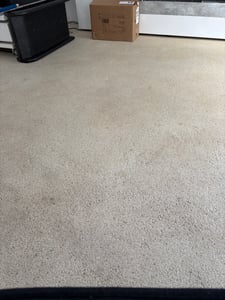 BISSELL SPOTCLEAN PET PRO stofzuiger, model 37252 Klantenfoto 2