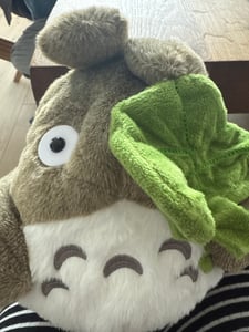 Lotusblatt Totoro Kuscheltier Puppe Kindergeschenk 30cm Kunden-Foto 2