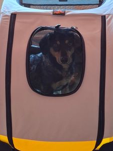 WISFOR Hundebuggy Ein-Klick-Falten, Hundewagen für mittelgroße und große Hunde bis 50kg, Hundeanhänger Hundetasche mit verstellbar Griff Kunden-Foto 5
