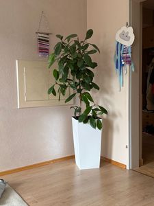 URBI DURS300 hoher Blumentopf mit Einsatz | Anthrazit Kunden-Foto 1
