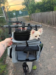 PawHut Hundekorb Fahrrad Vorne Tragbarer Atmungsaktiver Hundefahrradkorb Kunden-Foto 1