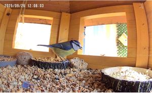XXL Luxus Vogelhaus, V13b XXL mit Ständer Kunden-Foto 6