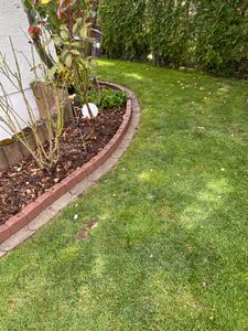 FORTENA Gartenpalisade Beeteinfassung Rasenkante Beetumrandung 120 cm Grau Gummi Beetkante Kunden-Foto 1