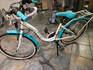 Bergsteiger Atlantis 20 Zoll Kinderfahrrad, geeignet für 6, 7, 8, 9 Jahre, StVZO, Shimano 6 Gang-Schaltung, Mädchen-Fahrrad mit Dynamo-Licht Kunden-Foto 14