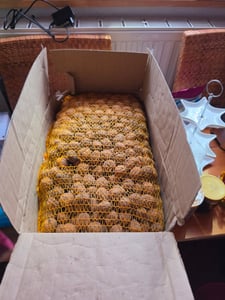 Natural Food Walnusse mit Schale, Vegan, Frisch und Lecker, Nuss, 10 kg Kunden-Foto 1