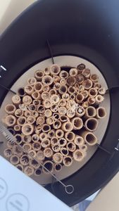 Capi Europe - Bee hotel 24x19x23 antracite Foto del cliente 1