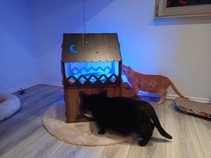 XL Katzenhaus Katzenhäuschen Katzenhütte Katzenhöhle Katzenliege Katzenbett Kratzhaus Katzenvilla 2 Etagen Indoor Kunden-Foto 2