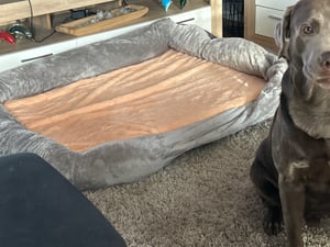 WISFOR Orthopädisch Hundebett Hundesofa Hundecouch Hundekissen große Hunde Schlafplatz, wasserfest waschbar Bezug abnehmbar L: 100x75x19cm Kunden-Foto 11