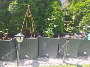 RATO niedriger DRTS400L Blumentopf mit Einsatz | Umbra Kunden-Foto 2