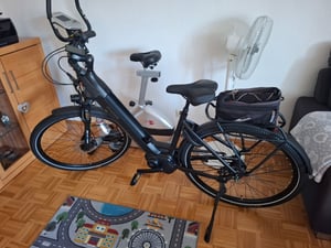 PROPHETE GENIESSER 4.9 Damen City E-Bike 28" Limited | AEG ComfortDrive II Mittelmotor 70 Nm, 600 Wh Akku bis 170 km, Scheibenbremsen Kunden-Foto 1