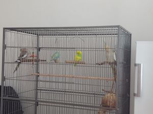 PawHut ptačí klec Vogelbauer s bidýlky, ptačí domeček s odkládací plochou a kolečky, ocel Fotografie od zákazníka č. 2