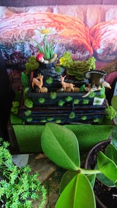 Fontana di decoro ad acqua per interni ZEN USB BATTERIA Foto del cliente 1