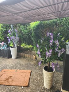 vidaXL Künstliche Glyzinie mit Topf 120 cm Kunden-Foto 1