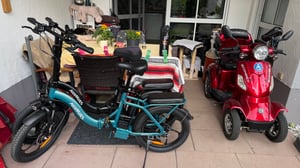 HillMiles E Bike, E-Bike Klapprad mit 36V 13Ah Akku bis zu 80-100km, 20 *3.0 Zoll, 7-Gang SHIMANO, 250W Motor & 25km/h MilePort 1 Kunden-Foto 30