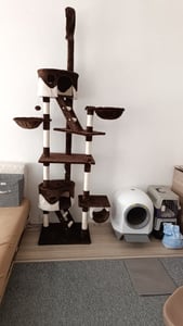 belviona Arbre à chat XXL avec tendeur de plafond, jeu & soin des griffes à la perfection, hauteur 230-250 cm, gris/blanc Photo du client 1