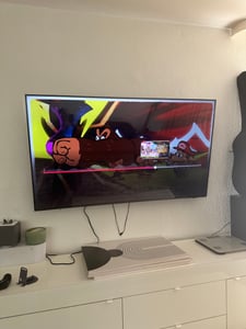 Notvex 48 Zoll Fernseher Schutz/ TV Bildschirmschutz /Displayschutz /Schutzfolie Kunden-Foto 2
