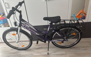 26 Zoll Fahrrad 21-Gang Shimano Schaltung mit Beleuchtung nach STVO Türkis Doppelrahmen Kunden-Foto 2