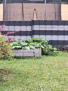 LZQ 30 Stück Sichtschutzstreifen Hart PVC 2,5m x 19cm Sichtschutz Windschutz Gartenzaun für Doppelstabmattenzaun Zaunsichtschutz, Anthrazit Kunden-Foto 1