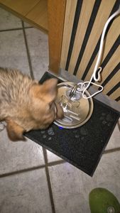 Automatischer Edelstahl-Haustier-Wasserbrunnen 2,2 l – leise Pumpe, kein Verschütten, Filter – Trinkbrunnen für Hunde & Katzen Kunden-Foto 5